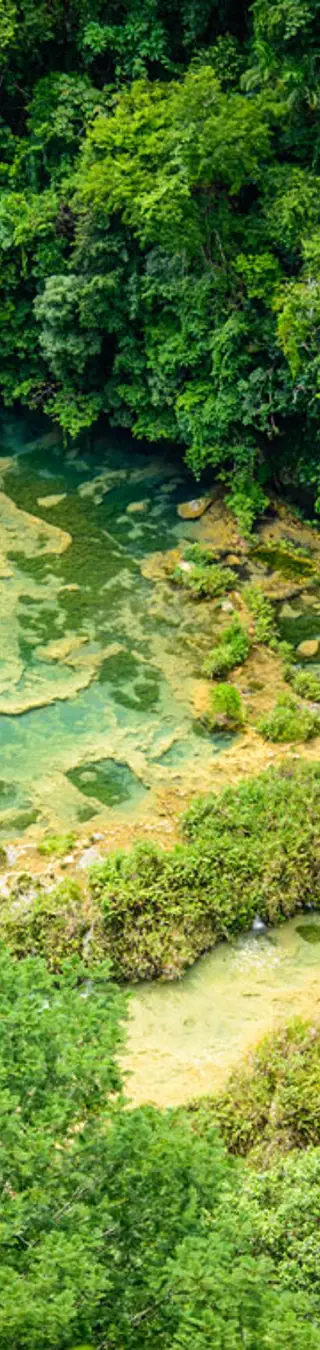 Natürliche Wasserbecken im Dschungel